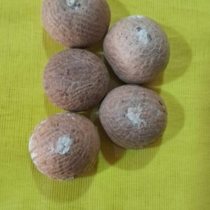 Supari (सुपारी) - 5 pieces