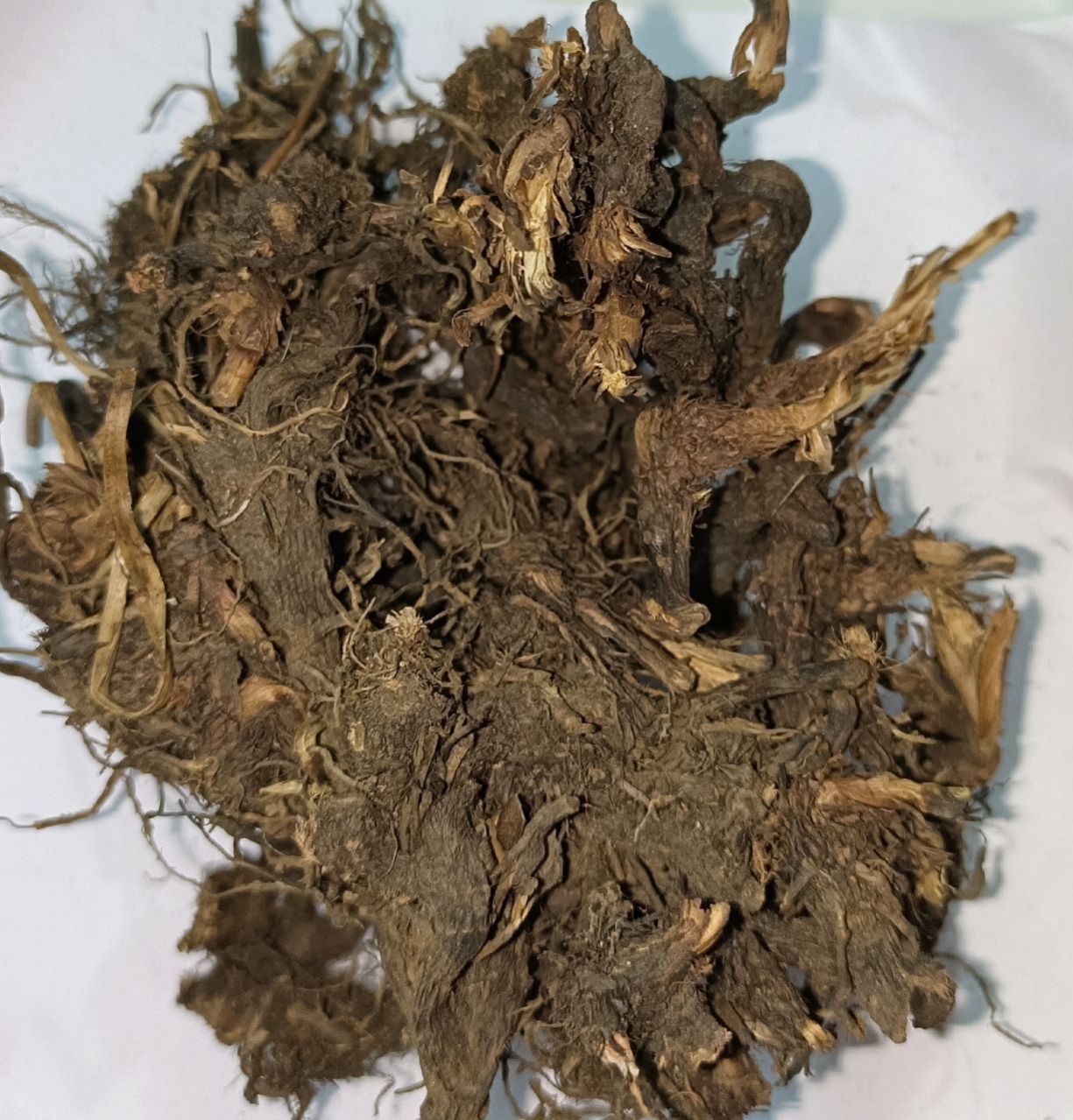 Nagarmotha / (नागरमोथा )