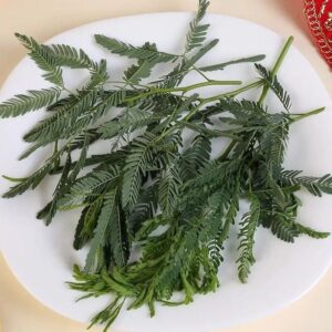 Shami Patra (शमी पत्र)