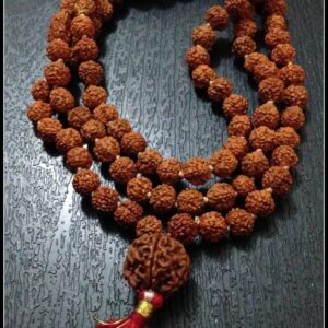 Rudraaksh Mala (रुद्राक्ष माला)